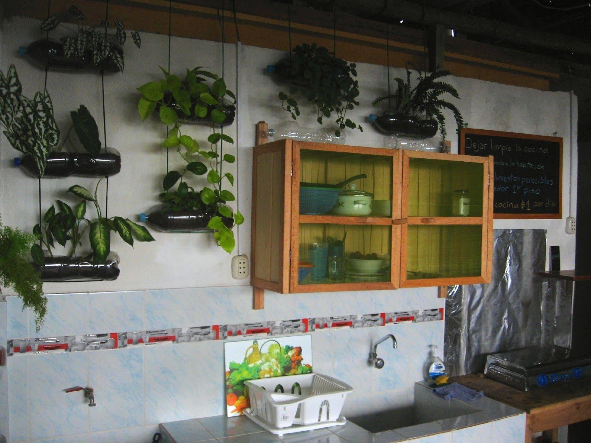 Amazon House Hostel Iquitos Exterior foto